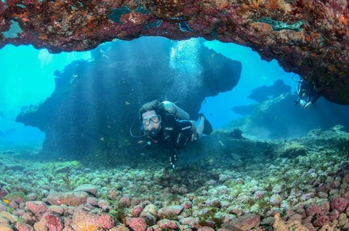 Scopri il mondo sottomarino: guida alle crociere diving