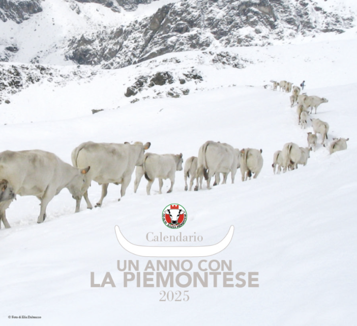 La copertina del calendario 2025