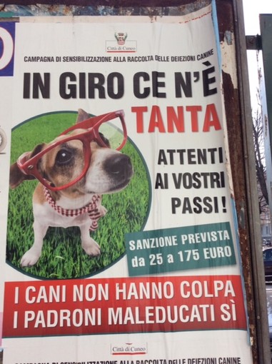 Cuneo in lotta contro i proprietari di cani maleducati