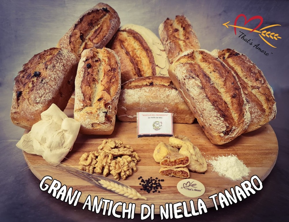 Il pane di Niella protagonista su Rai Uno a E' sempre mezzogiorno con il  cossanese Fulvio Marino 