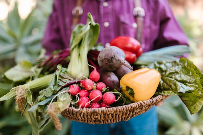 Il Comizio Agrario organizza il seminario “Fertilità e biodiversità nell’orto agroecologico”