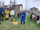 Saluzzo, inaugurazione della stele accanto all'albero di Giulia