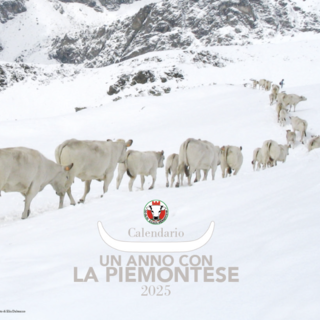 La copertina del calendario 2025