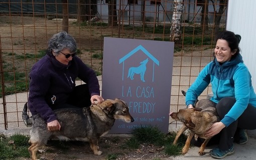 Al rifugio La casa di Freddy di Busca c'è la Grande Festa d'autunno