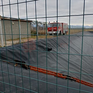 Due cagnolini cadono in un lago artificiale a San Martino di Barge: intervento dei vigili del fuoco