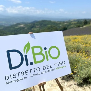 Il Distretto del Cibo del Monregalese-Cebano premiato dal bando Masaf: in arrivo 3,4 milioni di euro