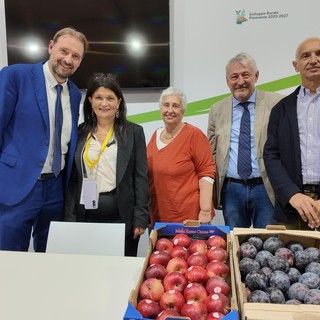 Il Distretto del Cibo della Frutta a Terra Madre