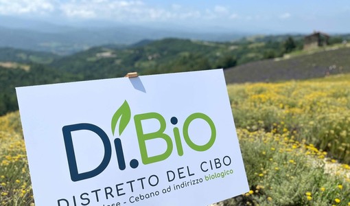 Il Distretto del Cibo del Monregalese-Cebano premiato dal bando Masaf: in arrivo 3,4 milioni di euro