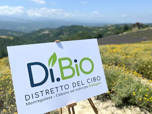 Il Distretto del Cibo del Monregalese-Cebano premiato dal bando Masaf: in arrivo 3,4 milioni di euro