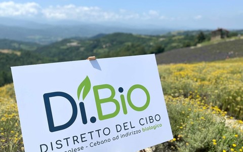 Il Distretto del Cibo del Monregalese-Cebano premiato dal bando Masaf: in arrivo 3,4 milioni di euro