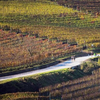 Alba: un mese al via della Grande Maratona delle Langhe