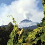 Istituzioni e produttori siciliani ospiti nelle Langhe in occasione della Fiera del Tartufo