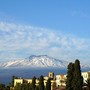 Scopri i sapori dell'Etna: un viaggio tra i vigneti vulcanici