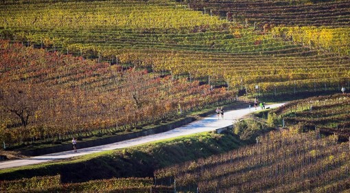 Alba: un mese al via della Grande Maratona delle Langhe