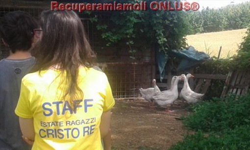 I ragazzi dell'Estate Ragazzi della Parrocchia Cristo Re di Alba al Campo di addestramento di Grinzane Cavour