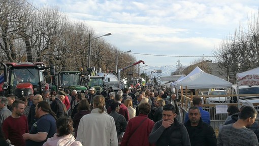 Proposte e idee per trascorrere questa domenica nella Granda