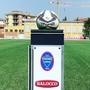 Calcio Serie D: Fossano, sabato 3 agosto via alla preparazione