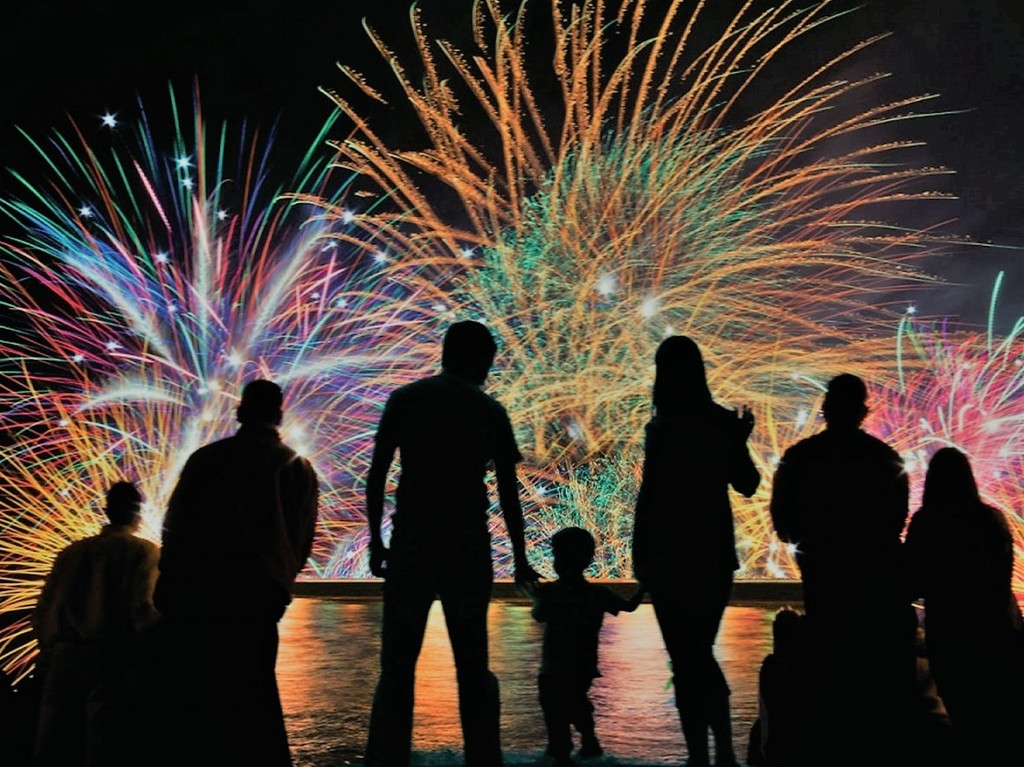 Non è Capodanno senza fuochi d'artificio! 