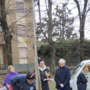 Bra ha celebrato la Festa dell’Albero