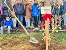 Saluzzo da oggi ha &quot;l'albero di Giulia, amica, sorella, figlia&quot;