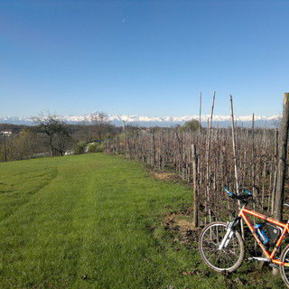 “Pedalata Cuore in Mente nei vigneti, noccioleti, nelle terre dei tartufi”