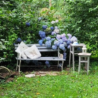 STORIE DI MONTAGNA/72 - Antonella e Lidia: le custodi del giardino incantato