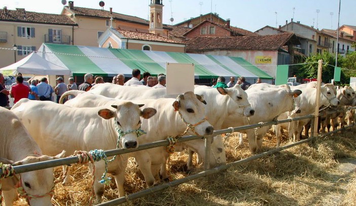 Fiera dell'Addolorata a Villanova - immagine di repertorio