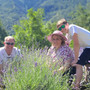 STORIE DI MONTAGNA 132/ Una famiglia, un borgo alpino, un campo di lavanda