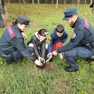 Giornata nazionale dell'albero, celebrata la festa coi Carabinieri Forestali