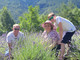 STORIE DI MONTAGNA 131/ Una famiglia, un borgo alpino, un campo di lavanda