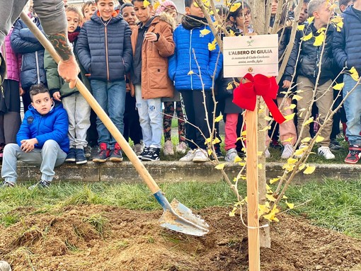 Saluzzo da oggi ha &quot;l'albero di Giulia, amica, sorella, figlia&quot;