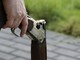 “Il mio vicino di casa mi ha minacciata con un fucile”: condannato un monregalese