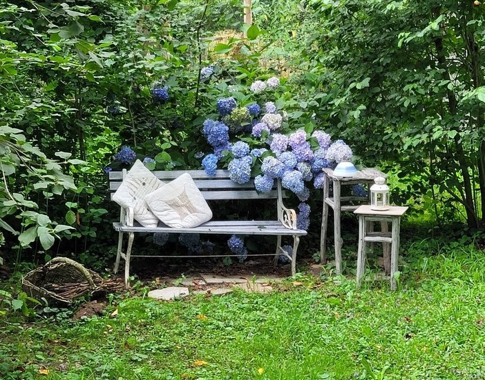 STORIE DI MONTAGNA/72 - Antonella e Lidia: le custodi del giardino incantato