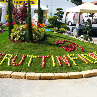 A Lagnasco cresce l'attesa per Fruttinfiore. A Paolo Balocco, direttore regionale “Agricoltura e Cibo” il premio dell'edizione 2025