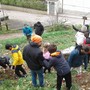 Le classi quinte della primaria di Roccavione in festa per la Giornata nazionale degli Alberi