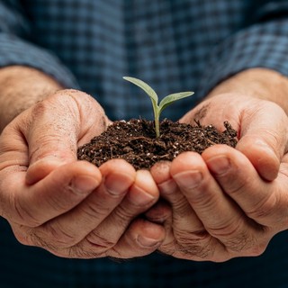 Il Comizio Agrario organizza il seminario online “Pratiche di agricoltura organica e rigenerativa”