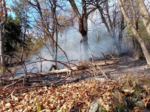 Incendio boschivo a Desertetto, il sindaco Giordana: &quot;Il tempestivo intervento ha evitato il peggio&quot;