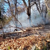 Incendio boschivo a Desertetto, il sindaco Giordana: &quot;Il tempestivo intervento ha evitato il peggio&quot;