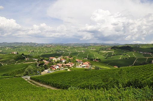 Le Langhe che hai sempre sognato: tra storia, natura ed eccellenze enogastronomiche