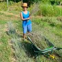 Alba, ogni sabato di febbraio il laboratorio &quot;La strega verde&quot;