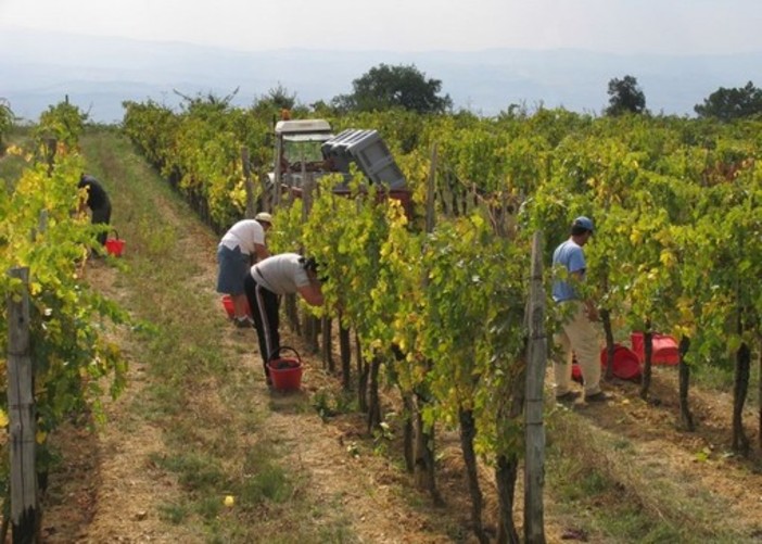 Stop al lavoro nelle ore calde della giornata, da lunedì via all'ordinanza della Regione