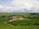 Le Langhe che hai sempre sognato: tra storia, natura ed eccellenze enogastronomiche