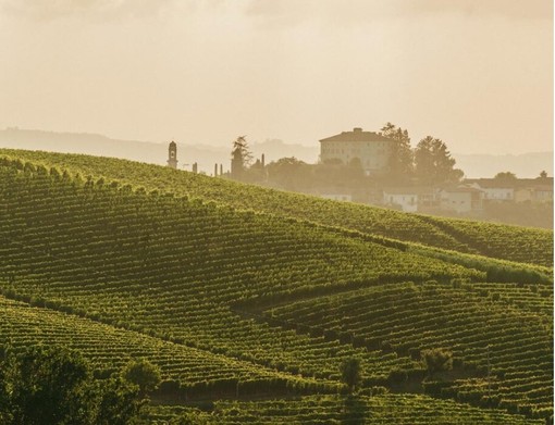 Le colline del Moscato