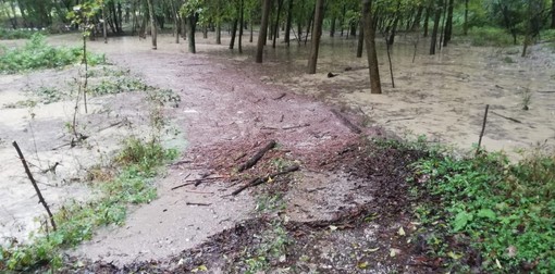 Il Gesso a Borgo San Dalmazzo, ore 13