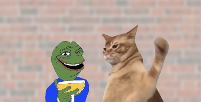 Guida all’acquisto di CatSlap (SLAP), la nuova meme coin a tema felino