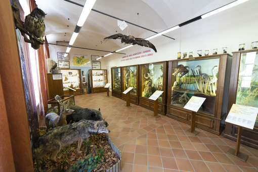 Museo Naturalistico del Roero di Vezza d’Alba (foto Stefano Cantù)