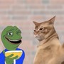 Guida all’acquisto di CatSlap (SLAP), la nuova meme coin a tema felino