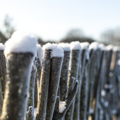 Maltempo nel weekend: neve e pioggia traghettano la Granda verso la fine dell'inverno