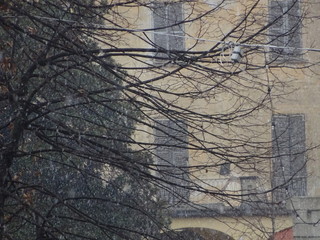 I primi fiocchi a Bra (Foto Silvia Gullino)