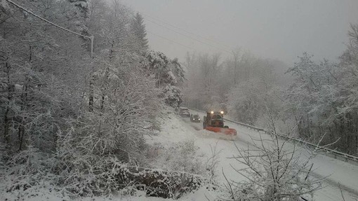 Maltempo confermato, ma non ci sarà la grande nevicata. Possibili disagi alla viabilità: allerta nelle valli Tanaro, Belbo e Bormida